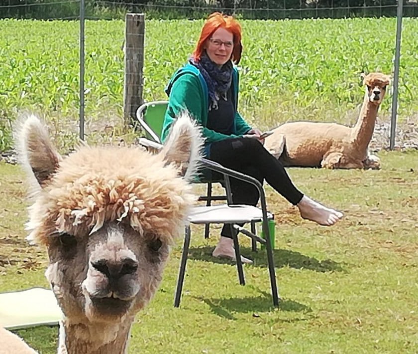 Yoga auf der Alpakahofweide